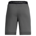 Under Armour Vanish Short