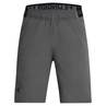 Under Armour Vanish Short