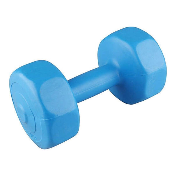 V3Tec Dumbell 3KG