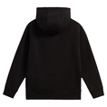Vans Classic Pullover Hoodie