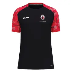 VVA/Spartaan Training shirt